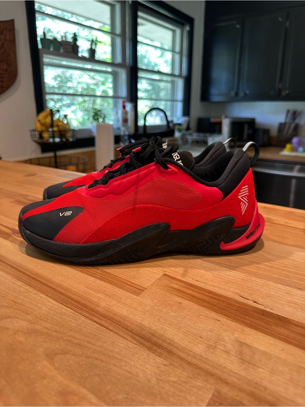 R.A.D One V2 Trainer